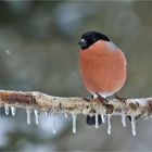 In der Eiszeit ...