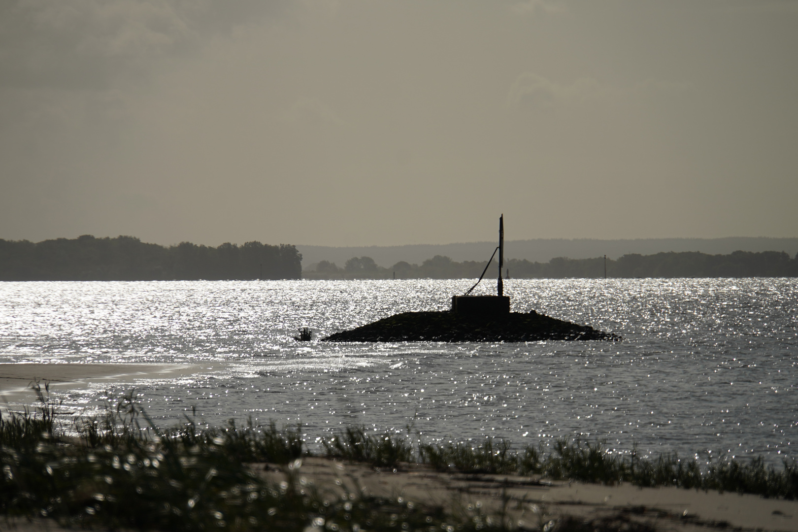 In der Elbe