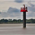 in der Elbe