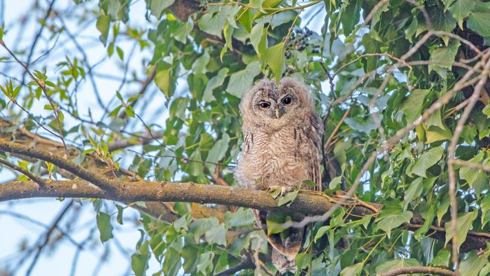 In der ersten Morgensonne