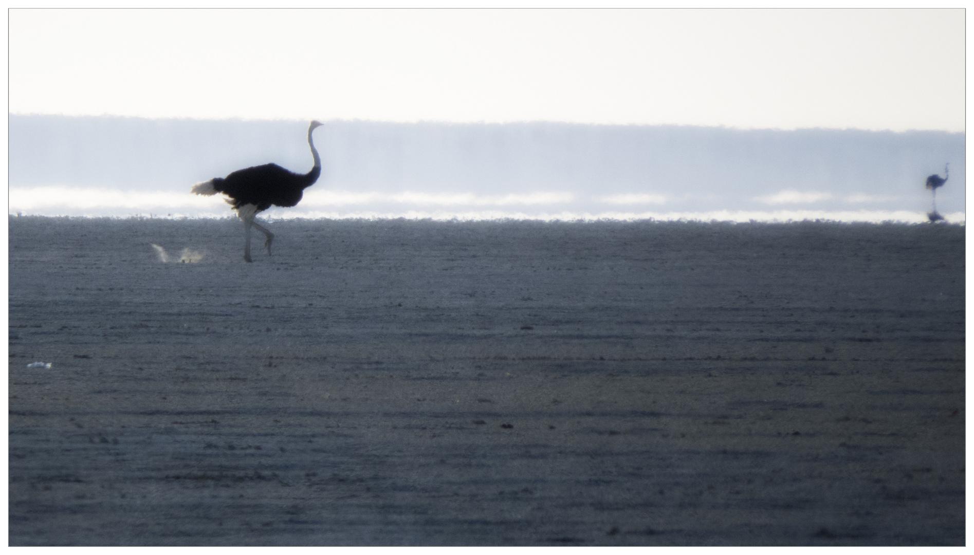 In der Etosha Salzpfanne