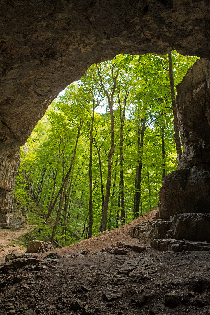 in der Falkensteiner Höhle