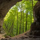 in der Falkensteiner Höhle