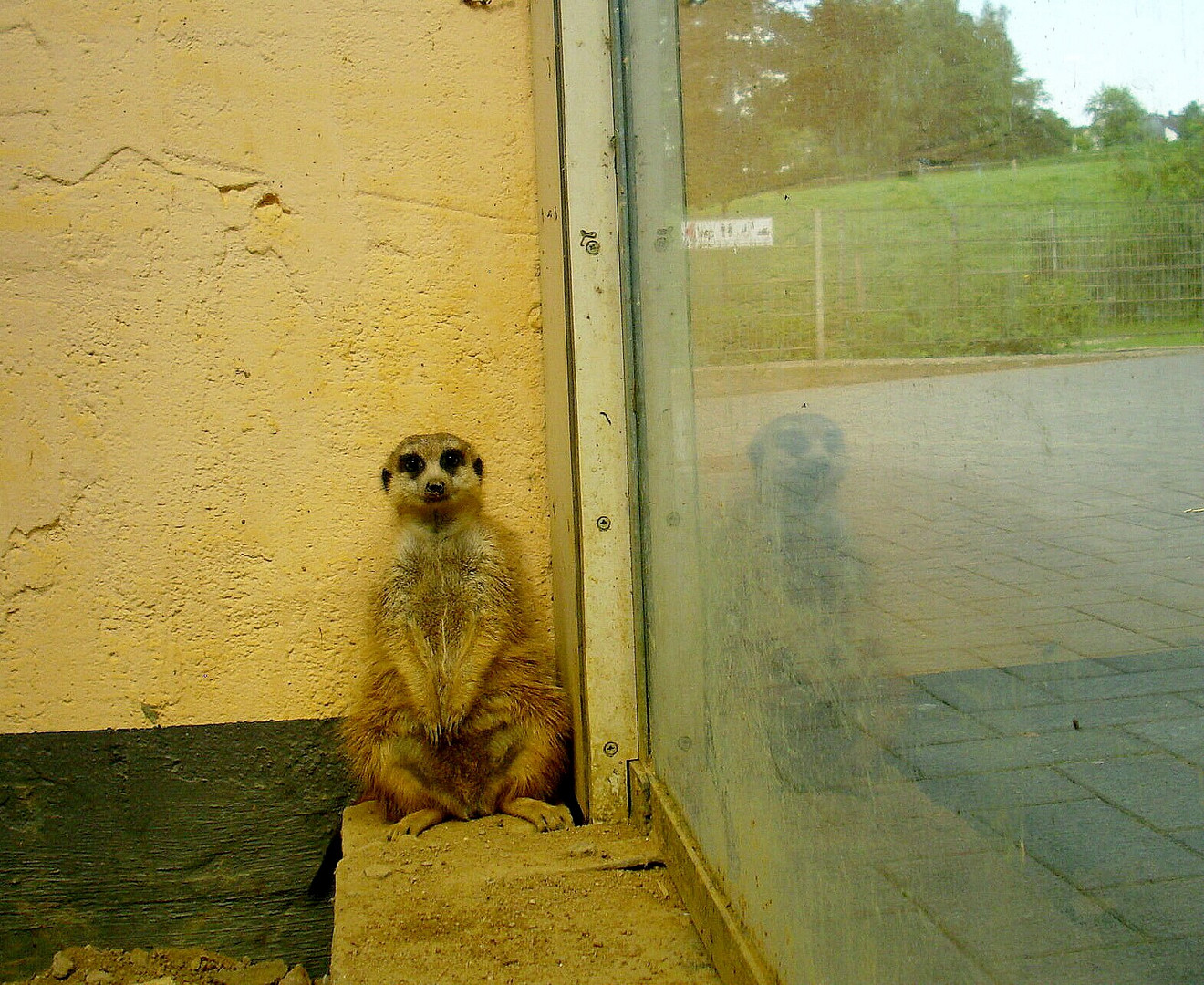 In der Fauna Solingen