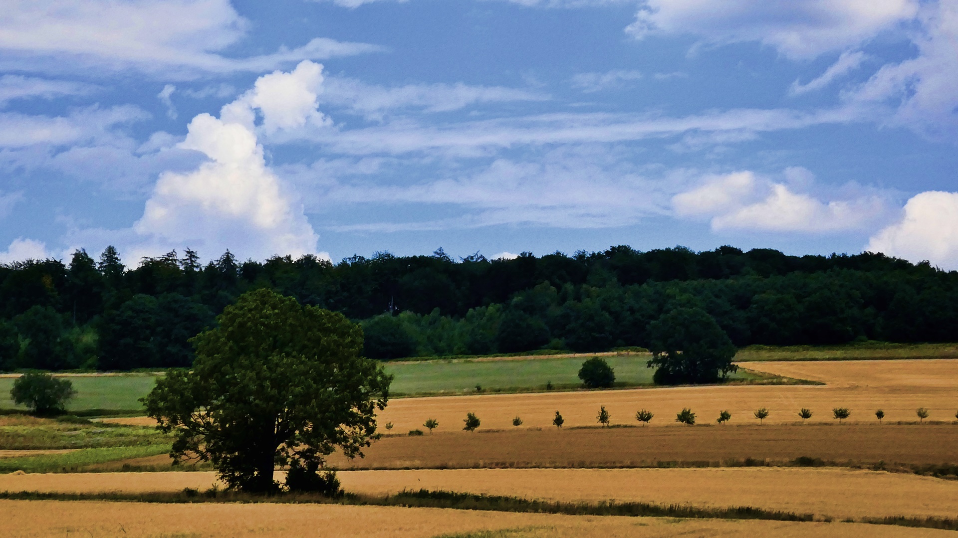 In der Feldmark