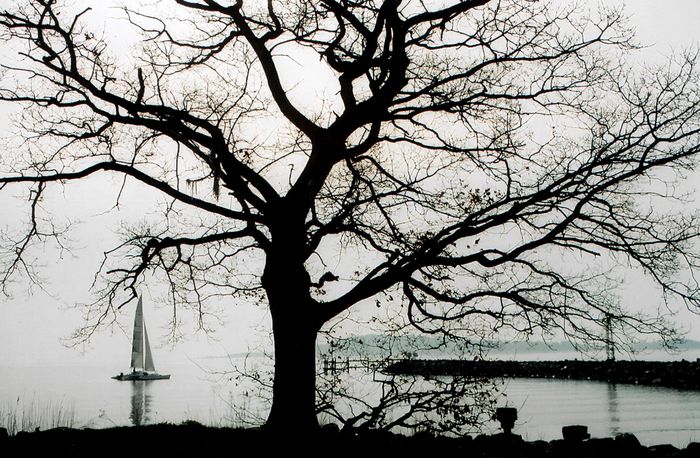 Http Www Fotocommunity De Photo Its Geloest Nadia Favie 3067081 2005 05 04 Https Img Fotocommunity Com Its Geloest E3214b05 09ab 49aa Ad1b 13c6a5f28183 Jpg Width 1000 Its Geloest Http Www Fotocommunity De Photo So Hab Ich Mir Den