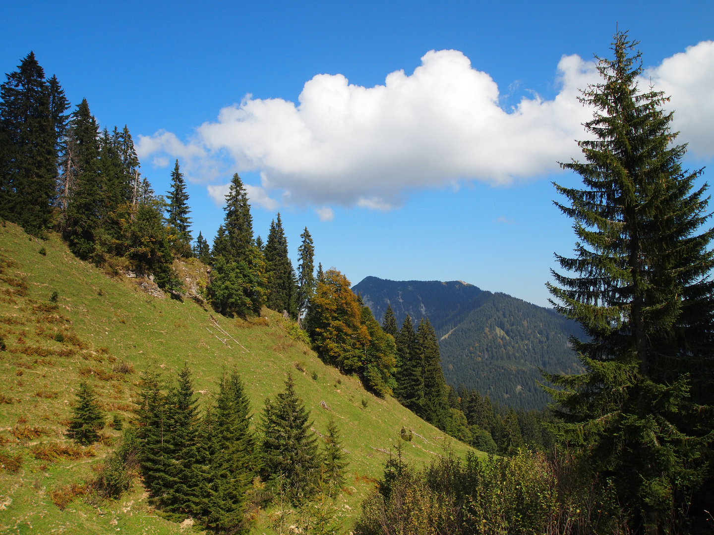 In der Ferne das Ziel vor Augen