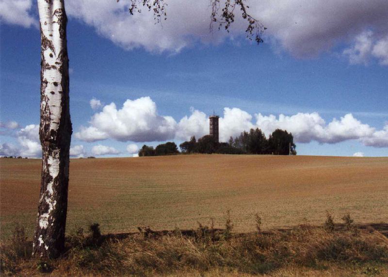 In der Ferne der Holzturm