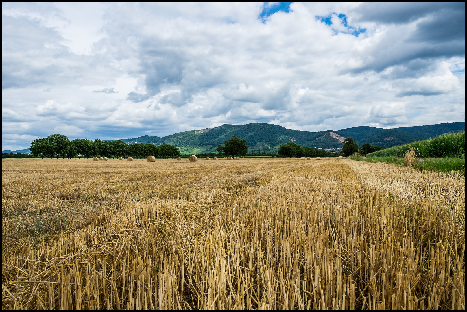 In der Ferne der Odenwald