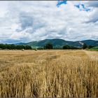 In der Ferne der Odenwald