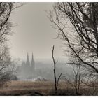 In der Ferne die Kirche von Cuijk bei Nimwegen