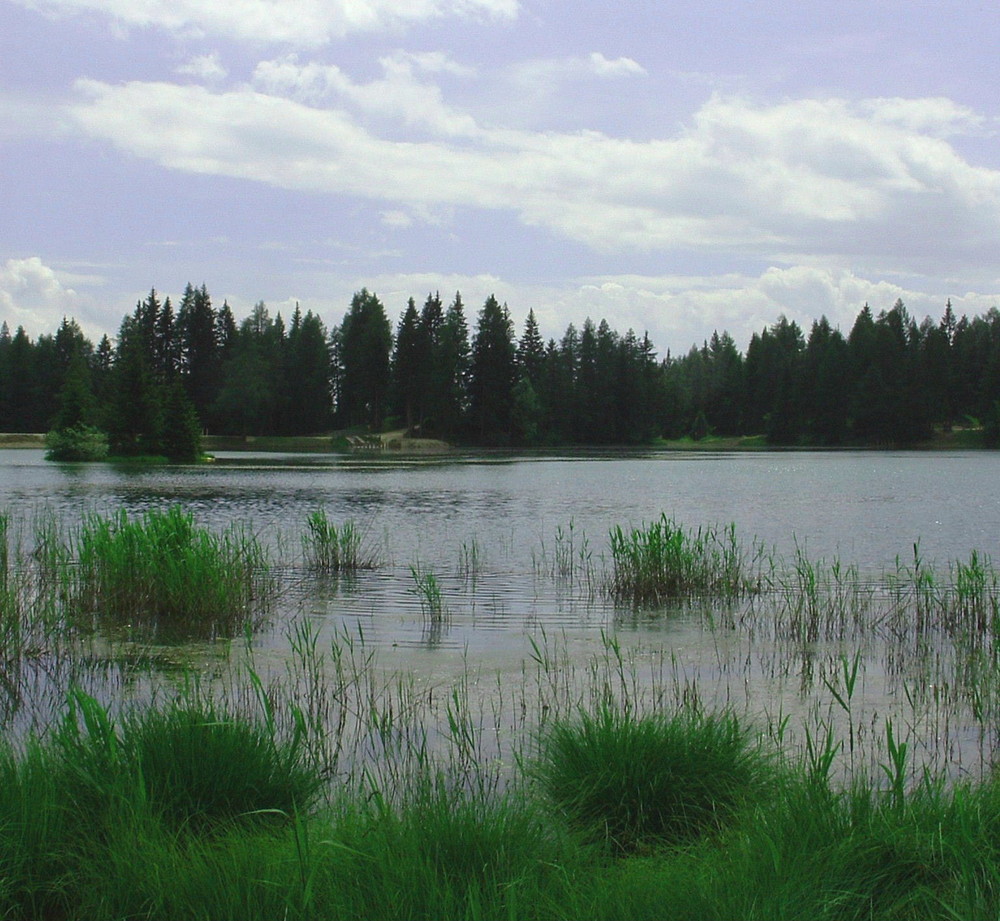 In der fernen Natur