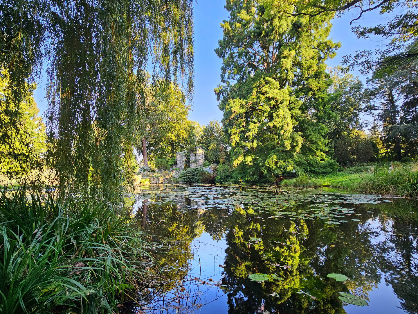 In der Flora in Köln