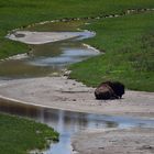 In der Flussaue                        DSC_5177