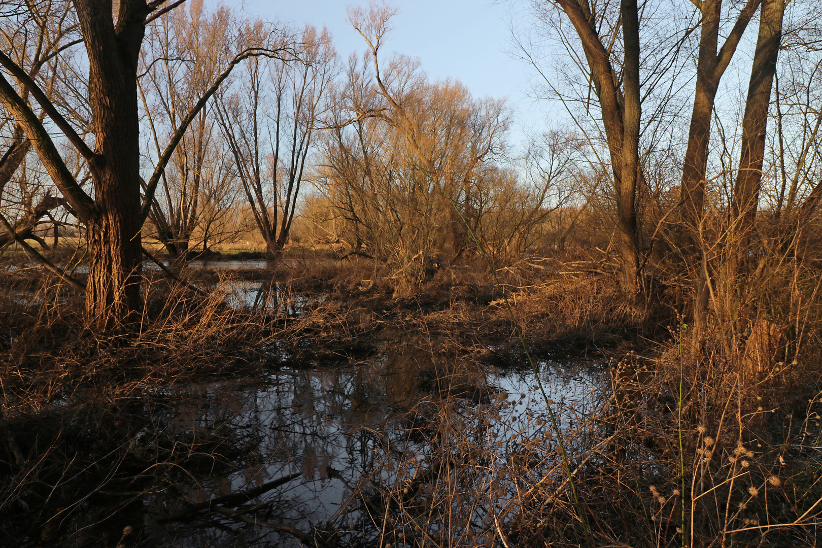 In der Flussniederung