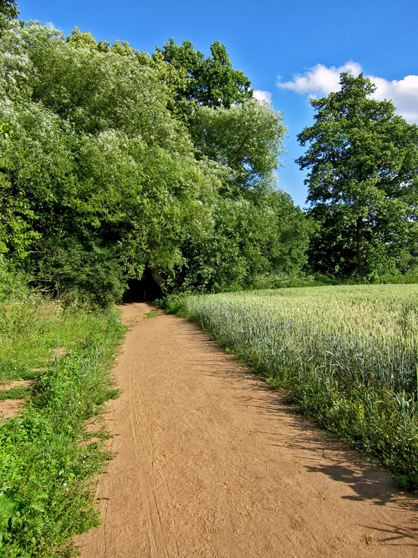 In der freien Natur