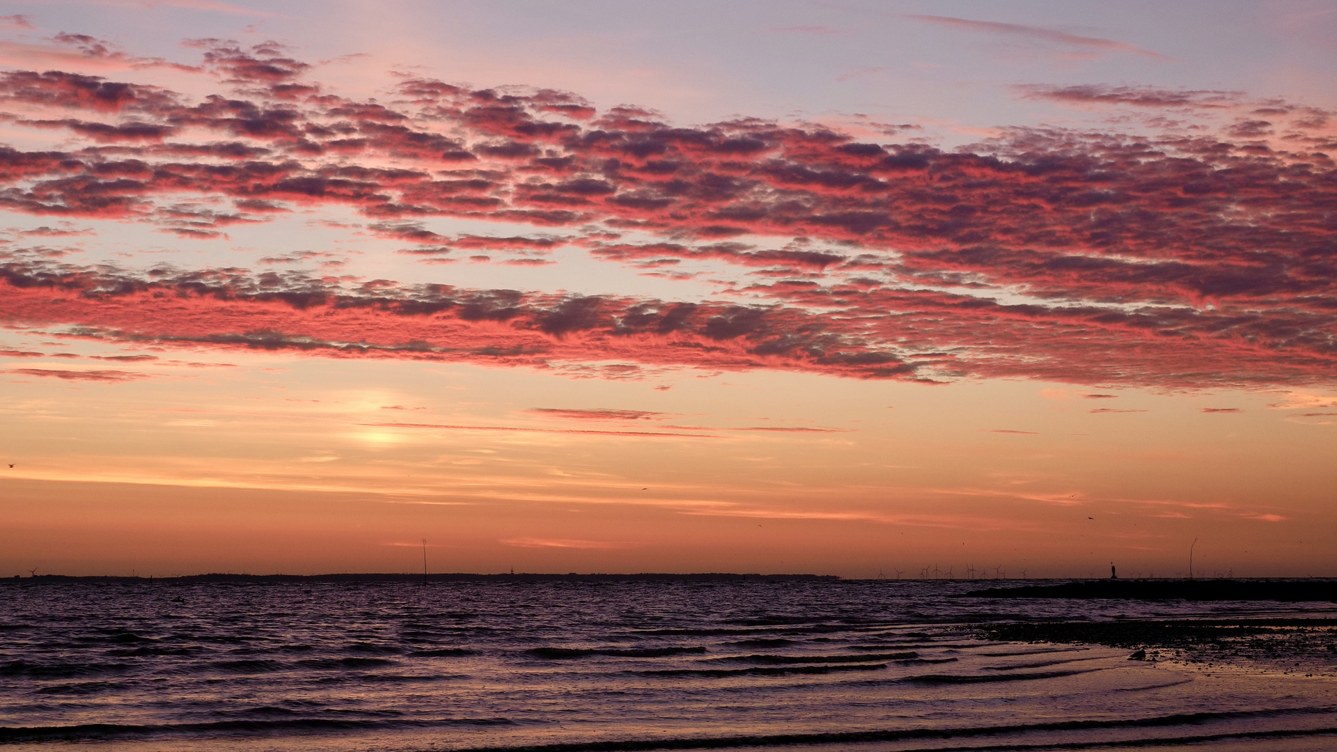 In der Früh auf Amrum IV