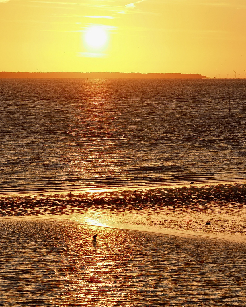 In der Früh auf Amrum IX