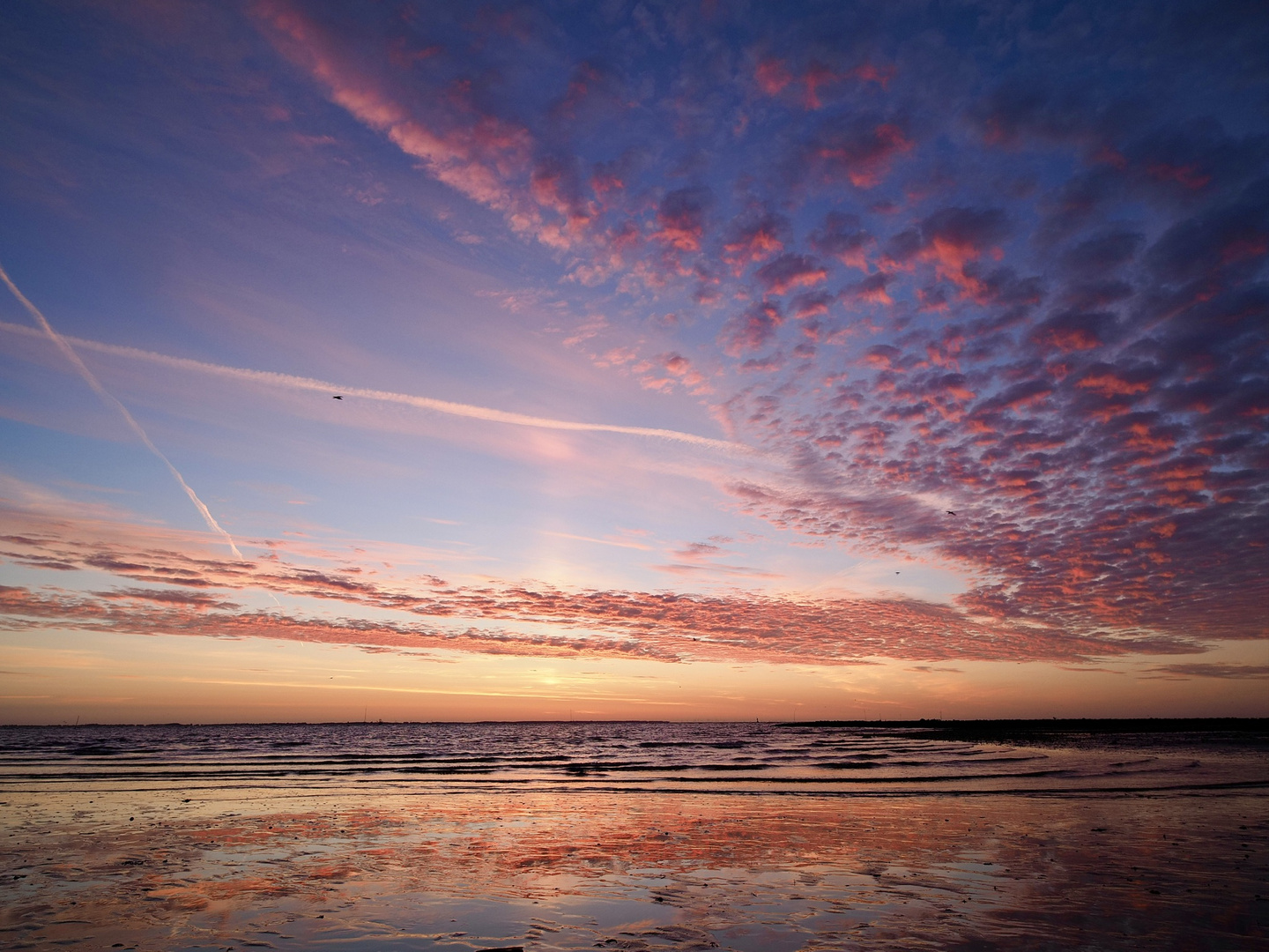 In der Früh auf Amrum V 