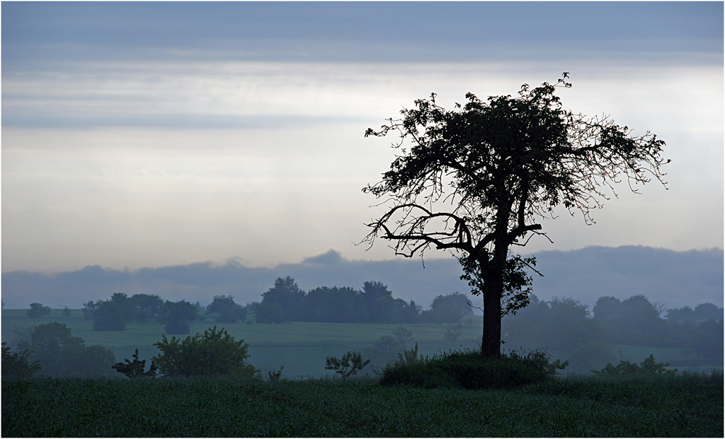 In der Frühe