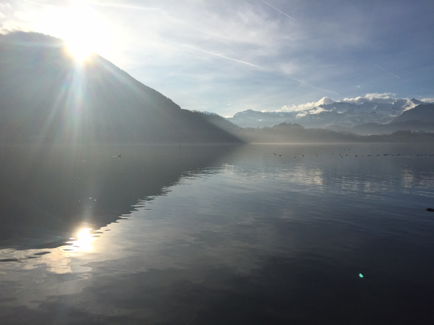 In der Frühe am See