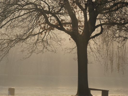 In der Frühe am Unisee