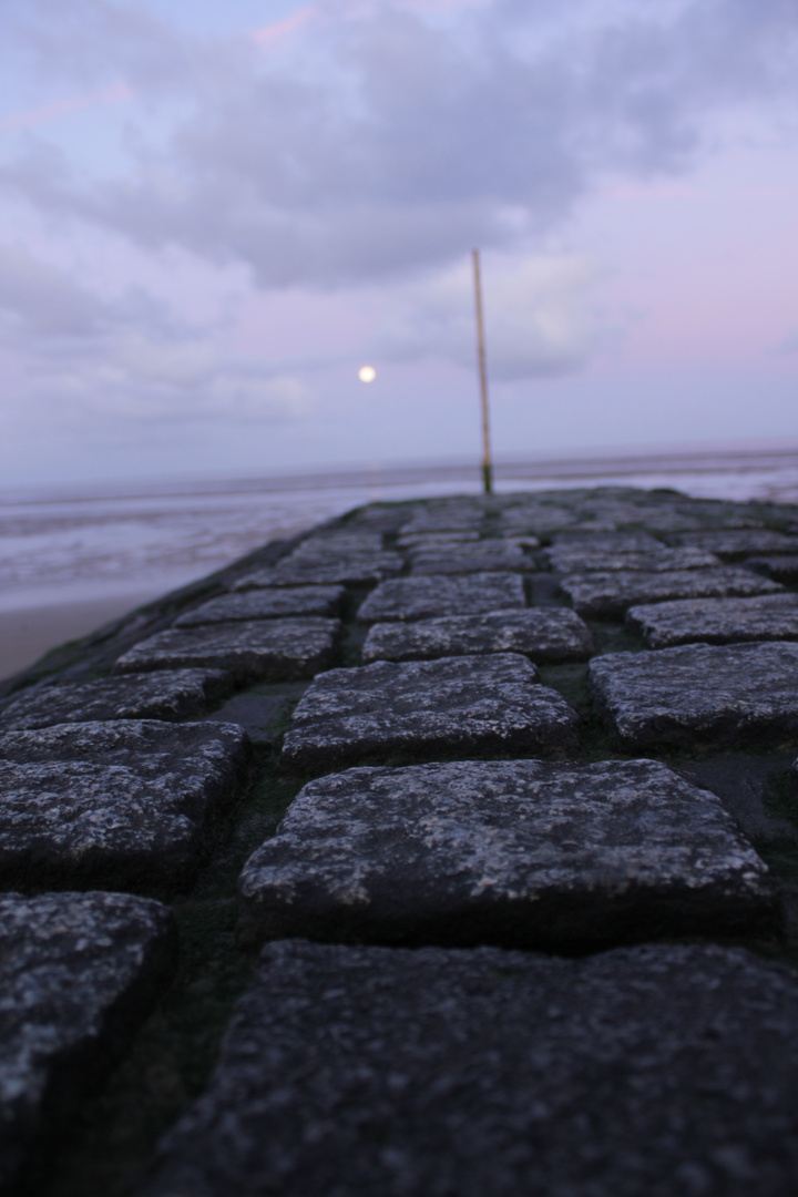 In der Frühe am Wattenmeer