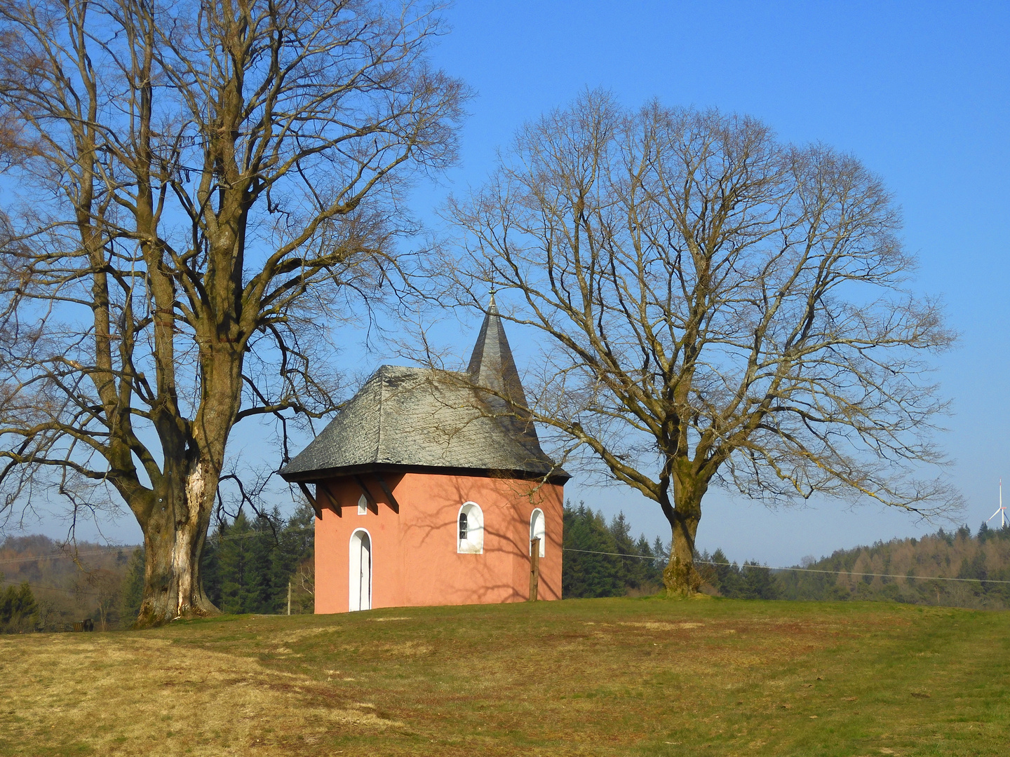 In der Frühlingssonne