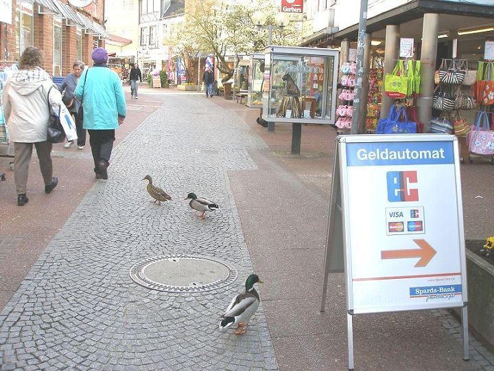 In der Fussgängerzone ...(1)