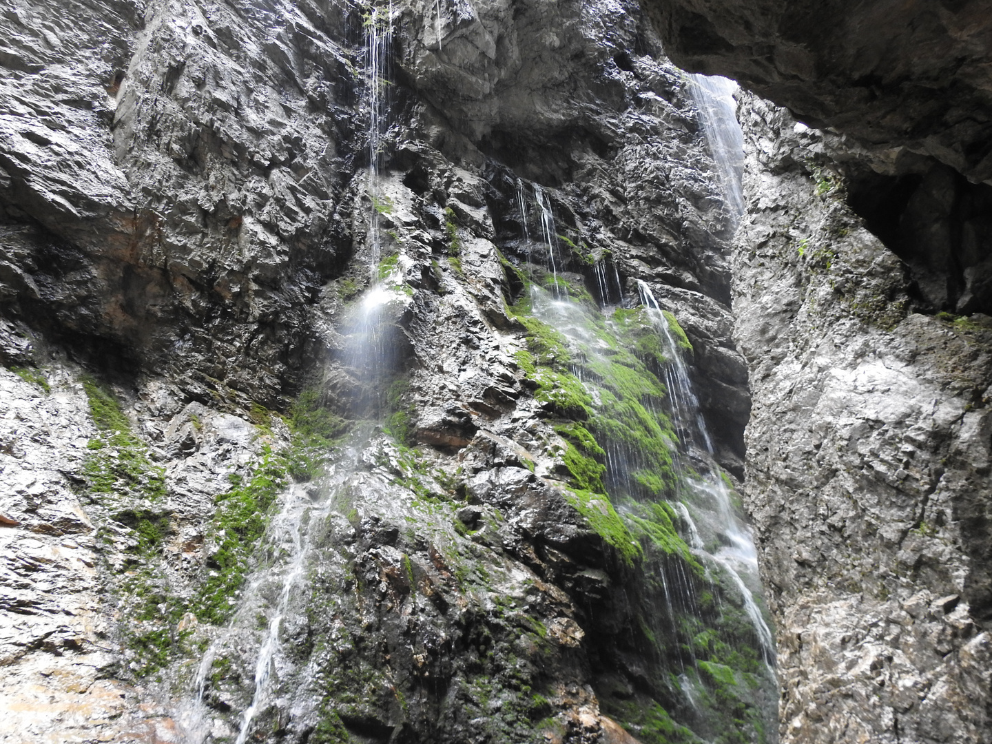 in der ganzen Klamm