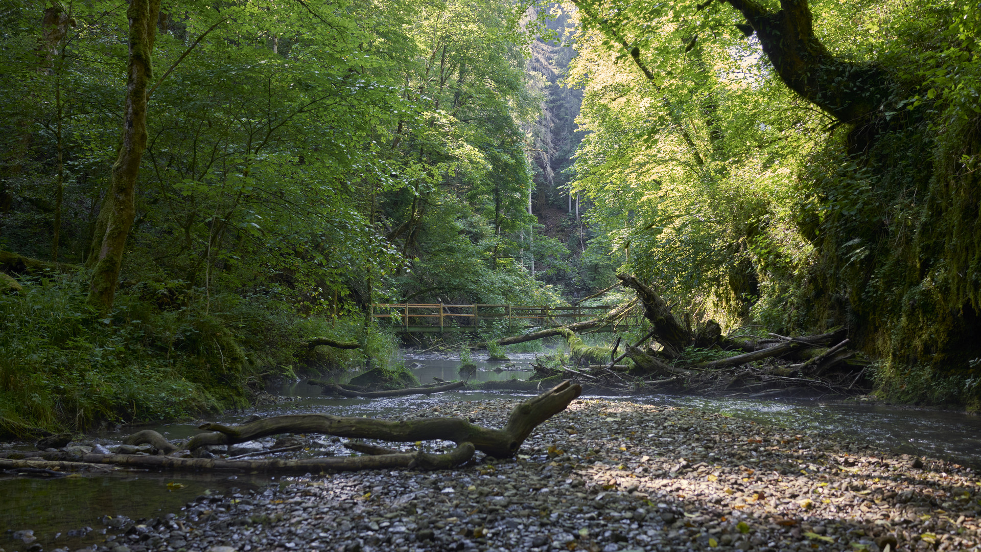 in der Gauchachschlucht