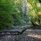 in der Gauchachschlucht