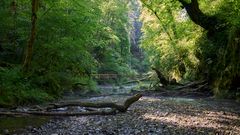 in der Gauchachschlucht