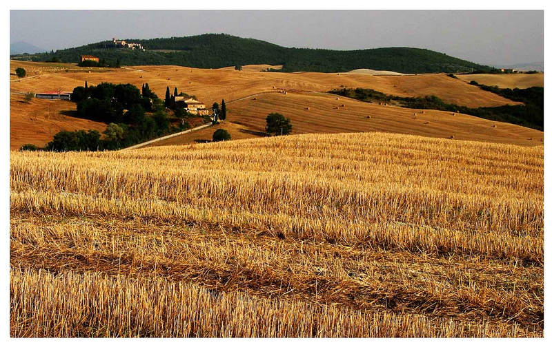 in der Gegend von Pienza