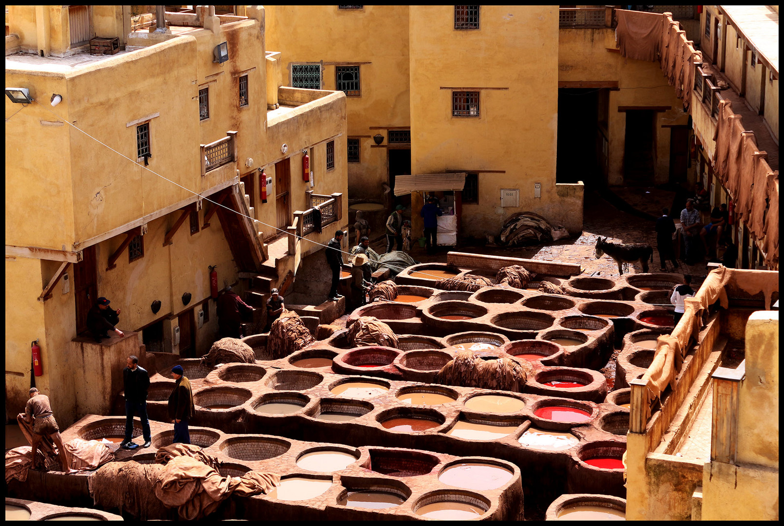 In der Gerberei in Fes