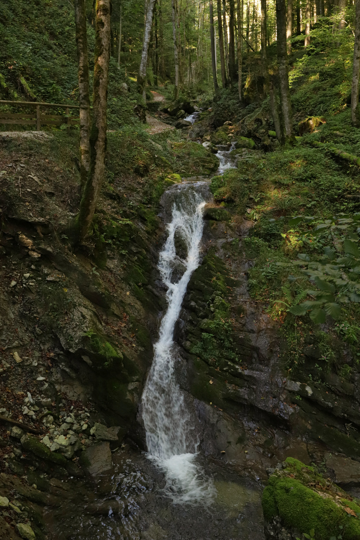 In der Gerner Klamm (2018_09_20_EOS 6D Mark II_7181_ji)