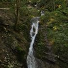 In der Gerner Klamm (2018_09_20_EOS 6D Mark II_7181_ji)