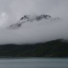 in der Glacier Bay