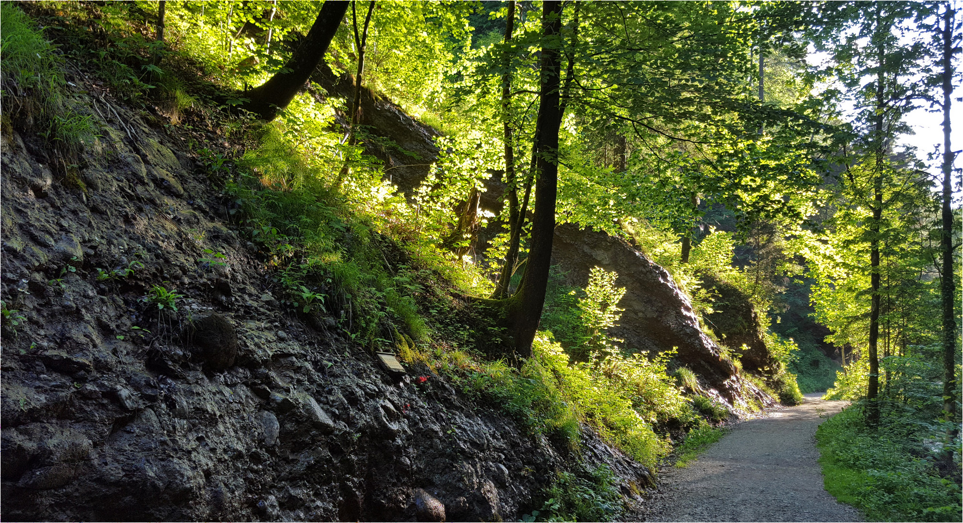 In der Glasenbachklamm...