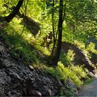 In der Glasenbachklamm...