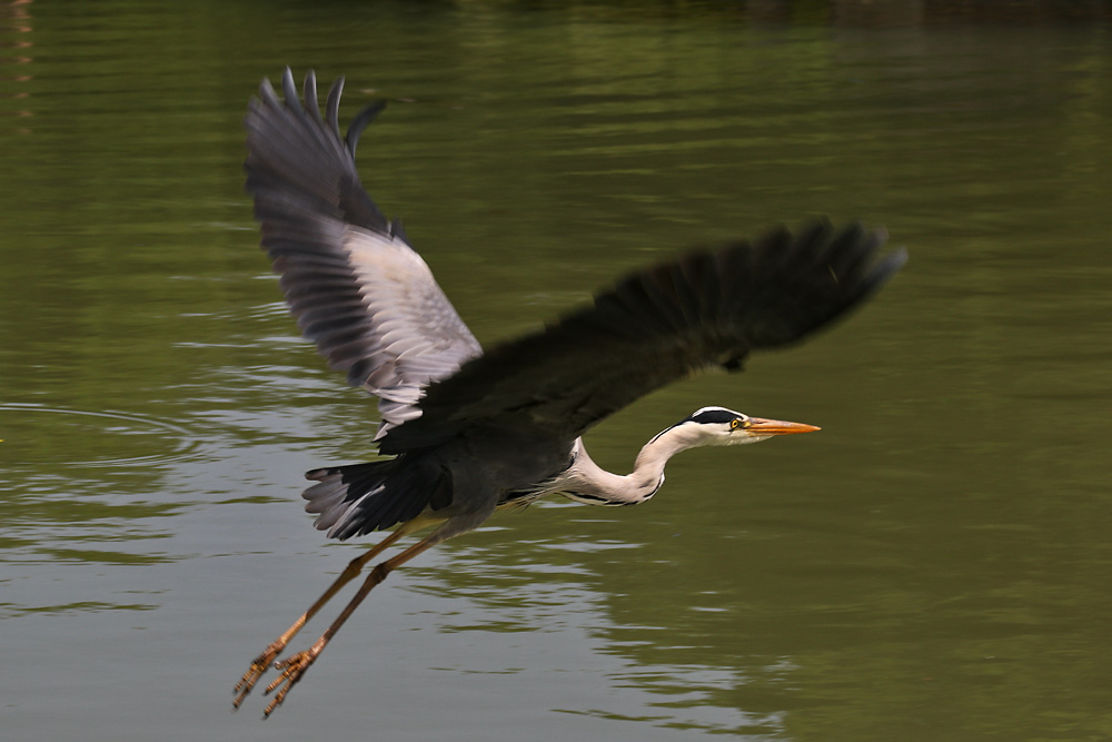 in der gleichen Sekunde im Flug