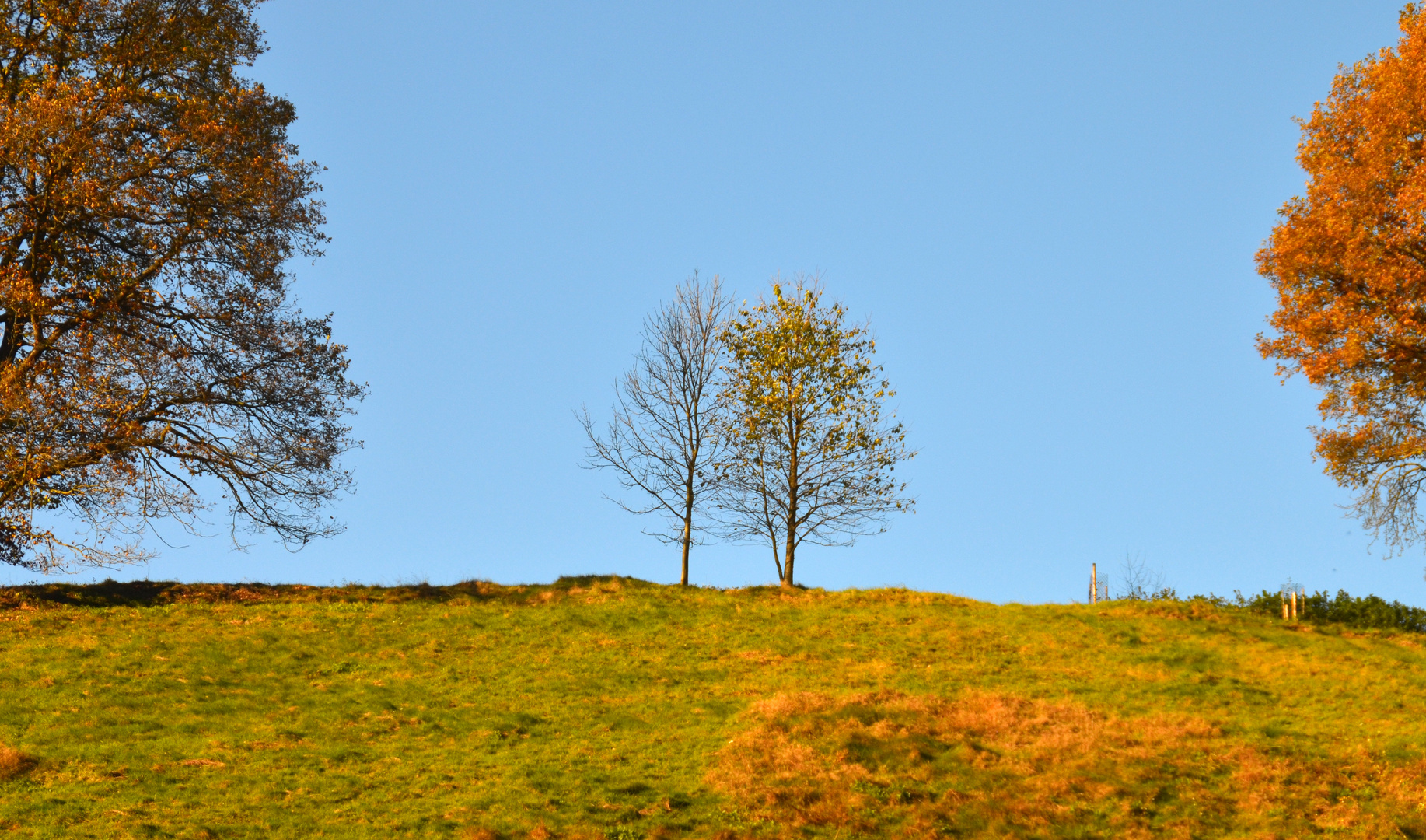 In der goldenen Mitte