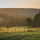 In der goldenen Stunde sieht die Welt goldig aus