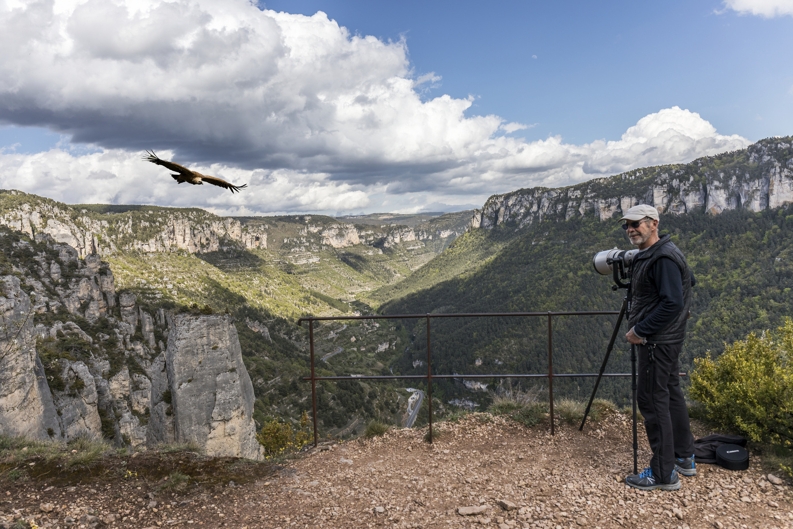 In der Gorge de la Jonte auf "Geierjagd"