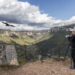 In der Gorge de la Jonte auf "Geierjagd"