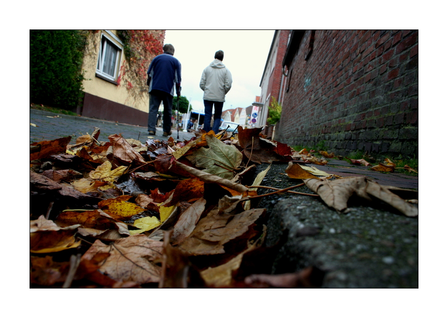 in der Gosse zuhause Foto & Bild deutschland, europe, niedersachsen