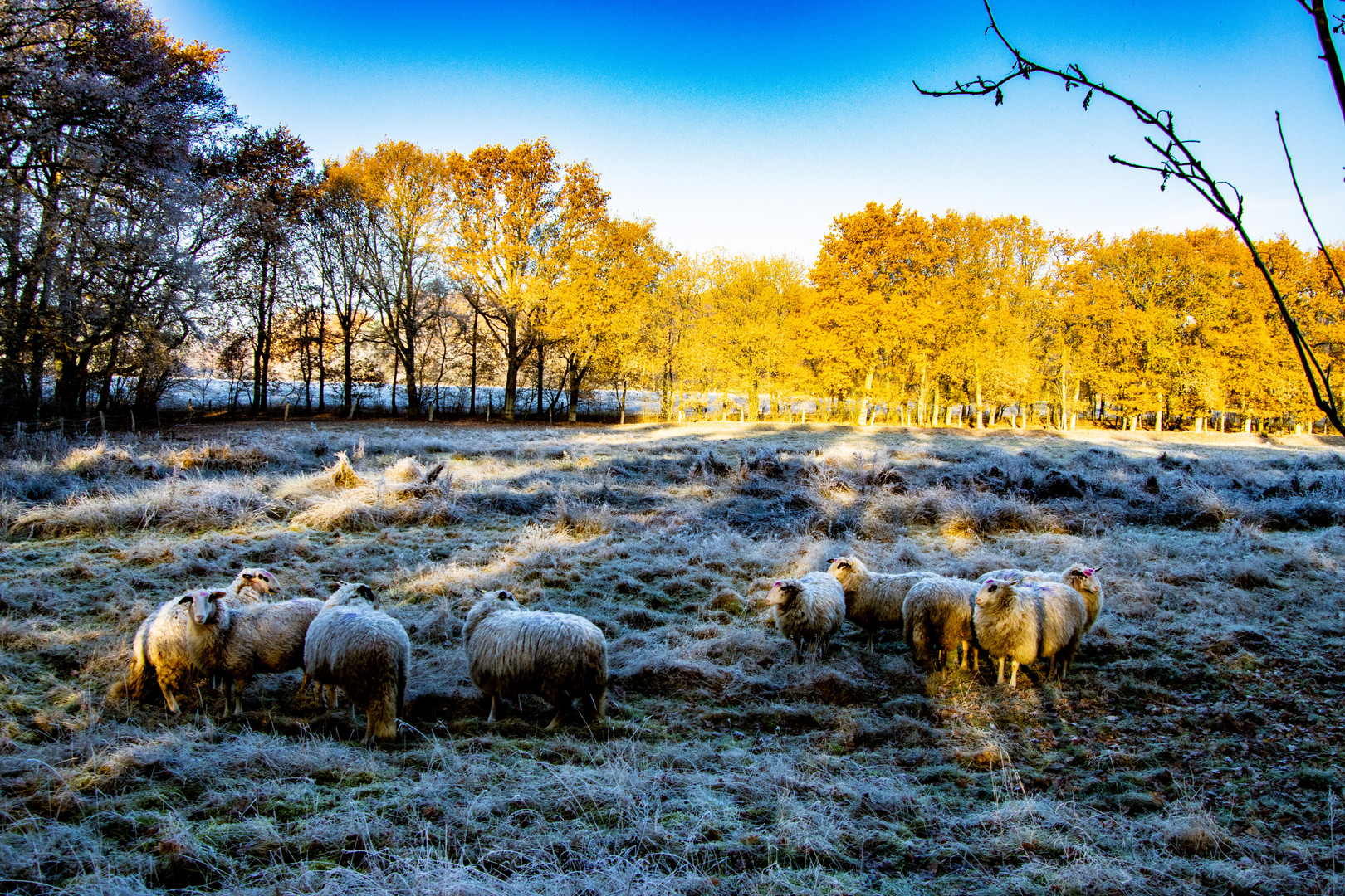 In der Grafschaft