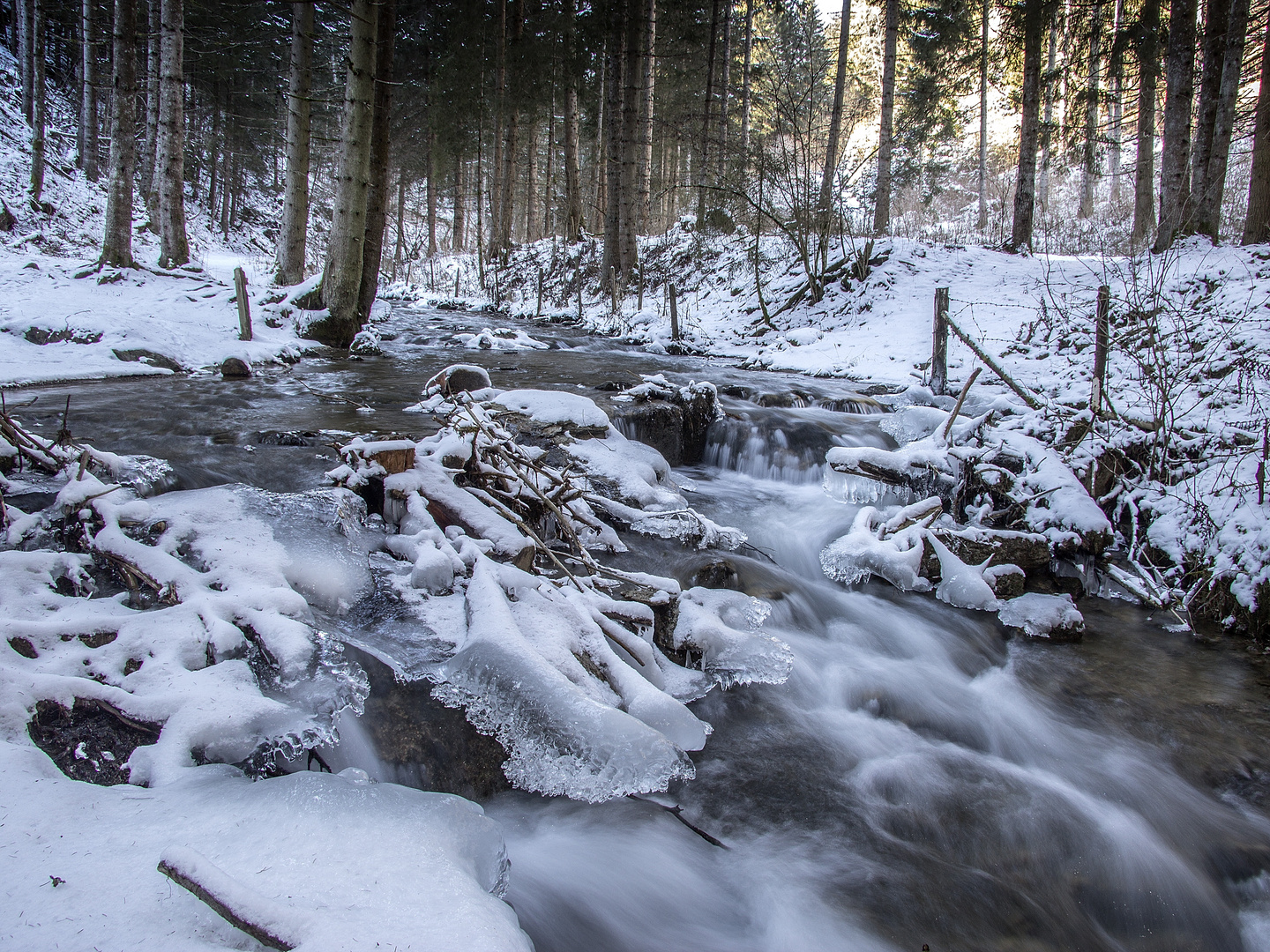 In der Graggerschlucht