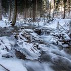 In der Graggerschlucht