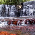 In der Gran Sabana